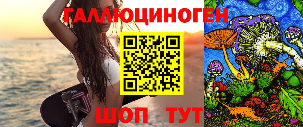 магазин    Галлюциногенные грибы ЛСД  Галлюциногенные грибы прущие грибы  Вход с VPN  Алатырь 